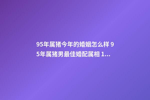 95年属猪今年的婚姻怎么样 95年属猪男最佳婚配属相 1995年属猪的男生婚姻-第1张-观点-玄机派